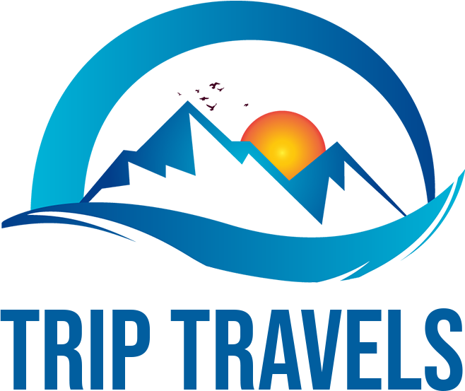 tripstravelers.com